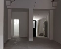 Lorong Telok (D1), Shop House #571226881
